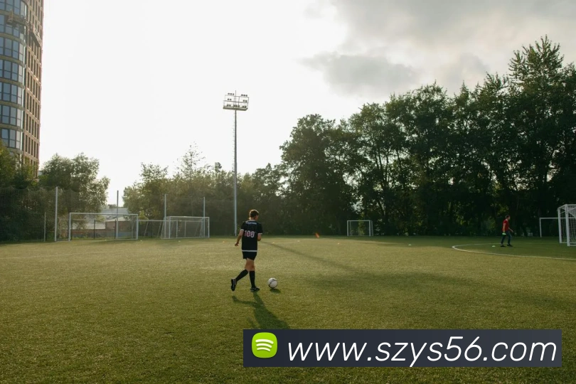 数据防护可视化